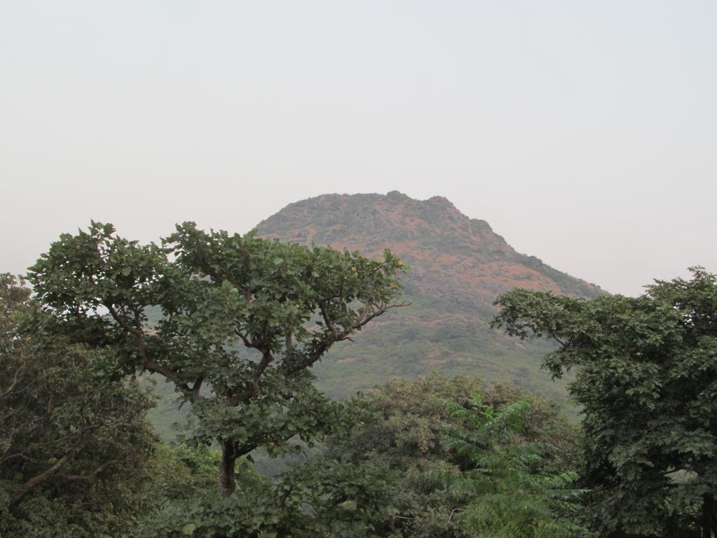 Forest Eco Lodge Mount Abu Exterior photo