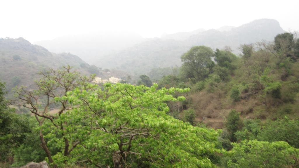 Forest Eco Lodge Mount Abu Exterior photo