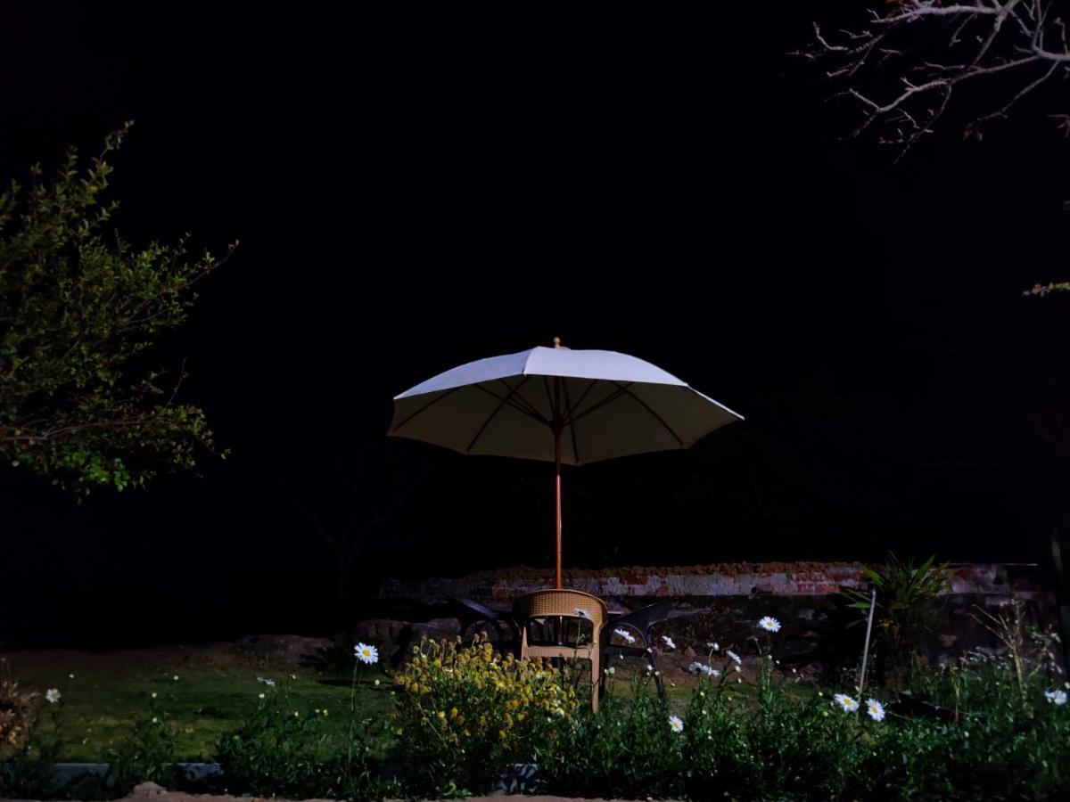 Forest Eco Lodge Mount Abu Exterior photo